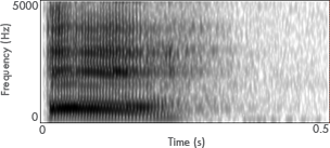 e-spectrogram
