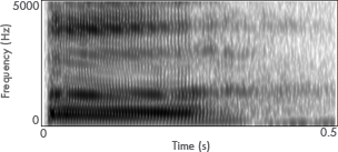 lax-u-spectrogram