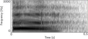 round-e-spectrogram