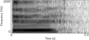 y-spectrogram